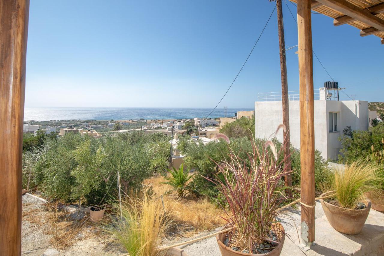 Markos Home كوتْسوناري المظهر الخارجي الصورة